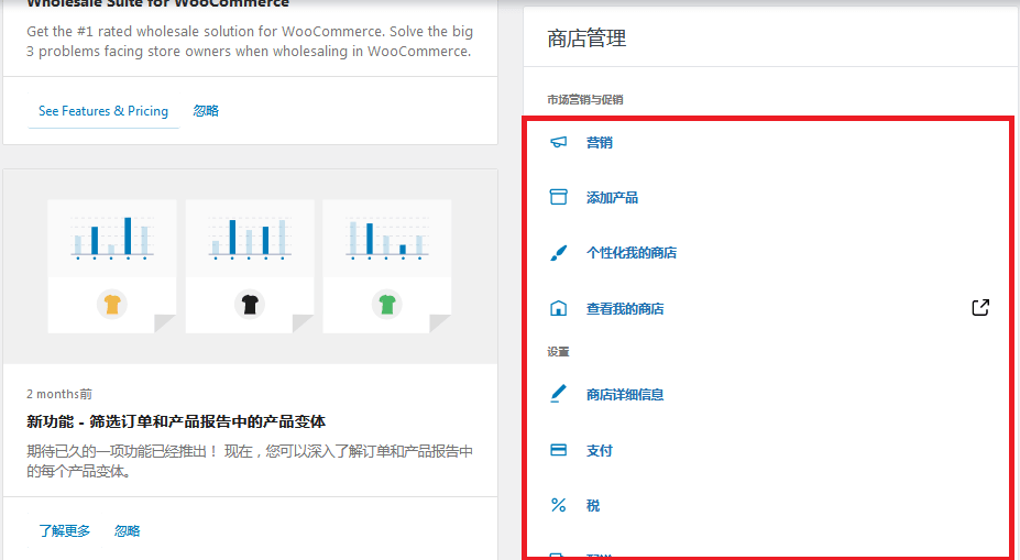 跨境电商独立站制作, Cloudways建站, 各种设置选项