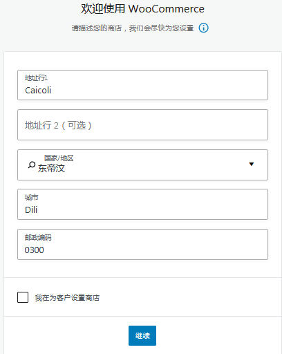 跨境电商独立站制作, Cloudways建站, 输入地址、国家、城市、邮编信息