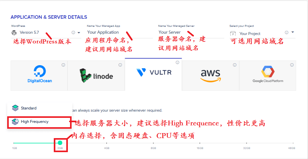 跨境电商独立站制作, Cloudways建站, 选择Vultr